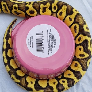 Neosytics Exotics
