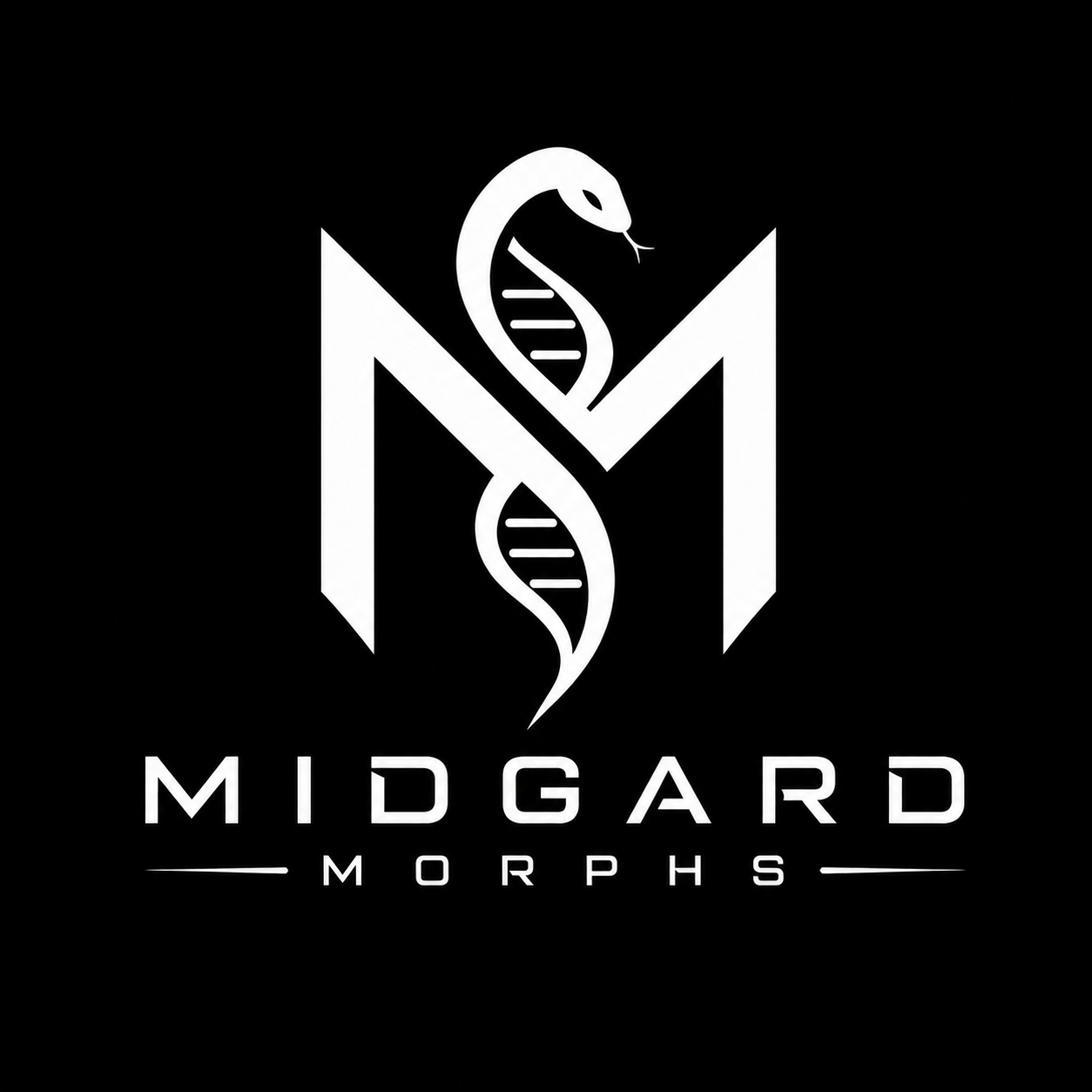 Midgard Morphs