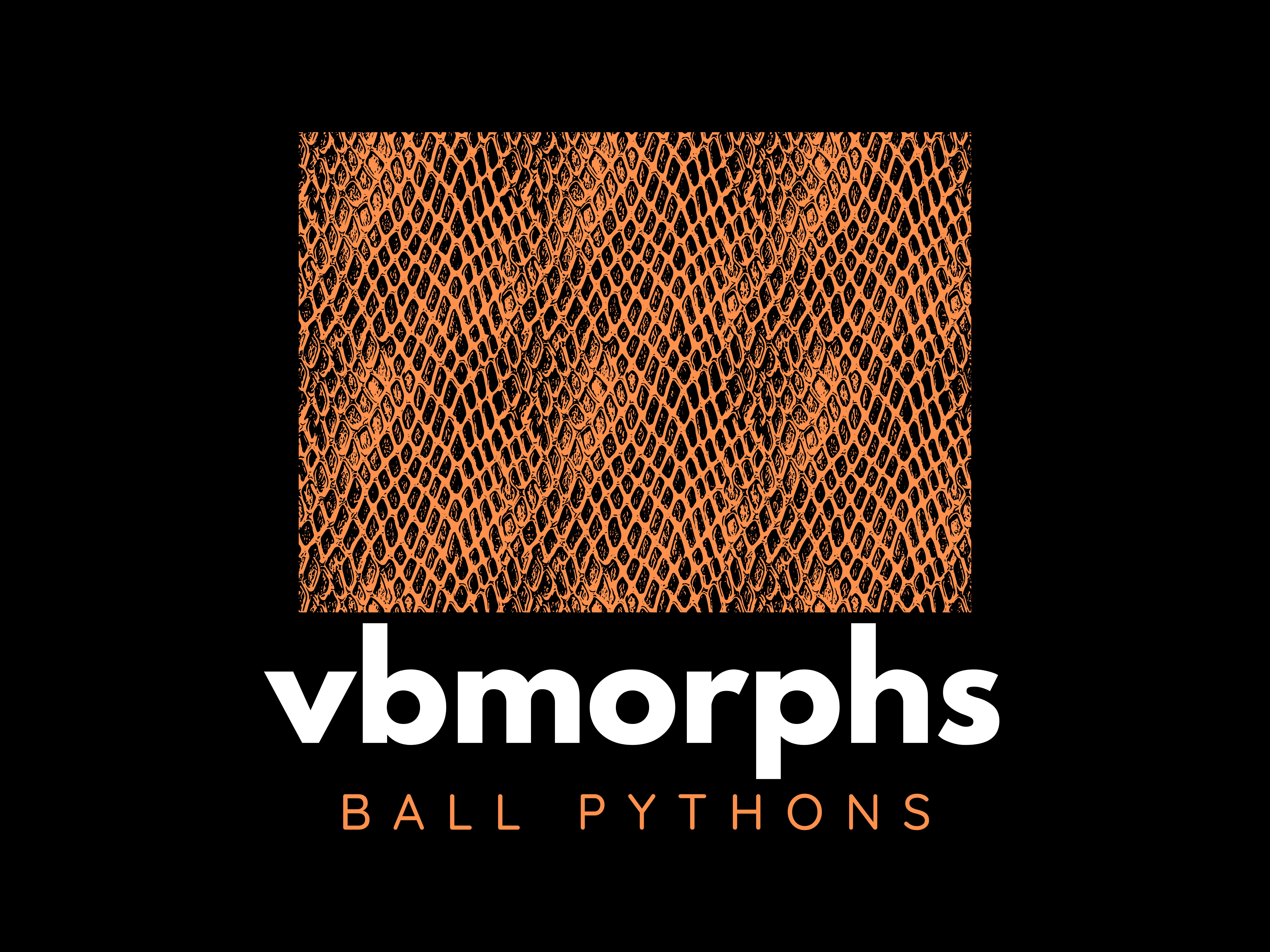 vbmorphs