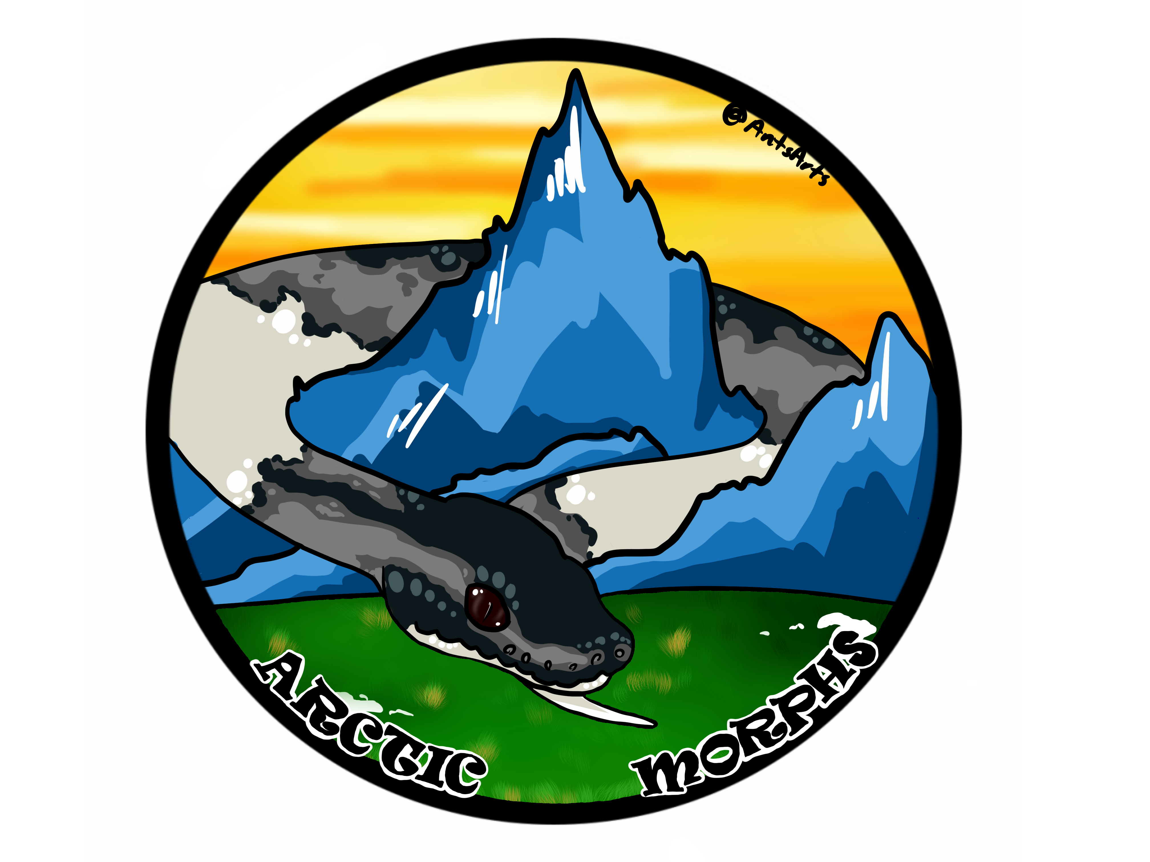 Arctic Morphs