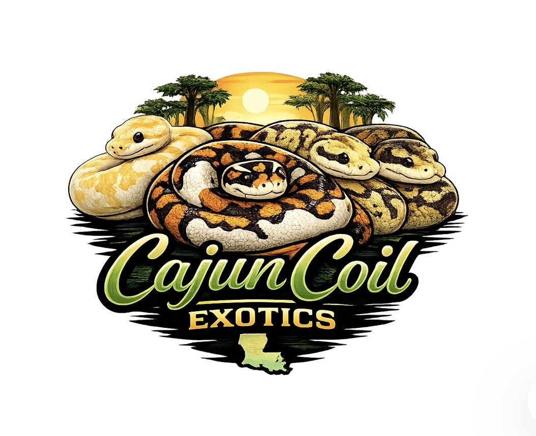 Cajun Coil Exotics