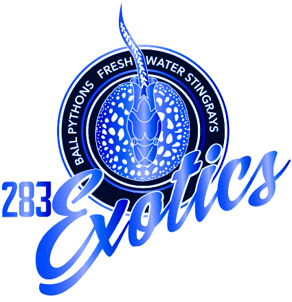 283Exotics