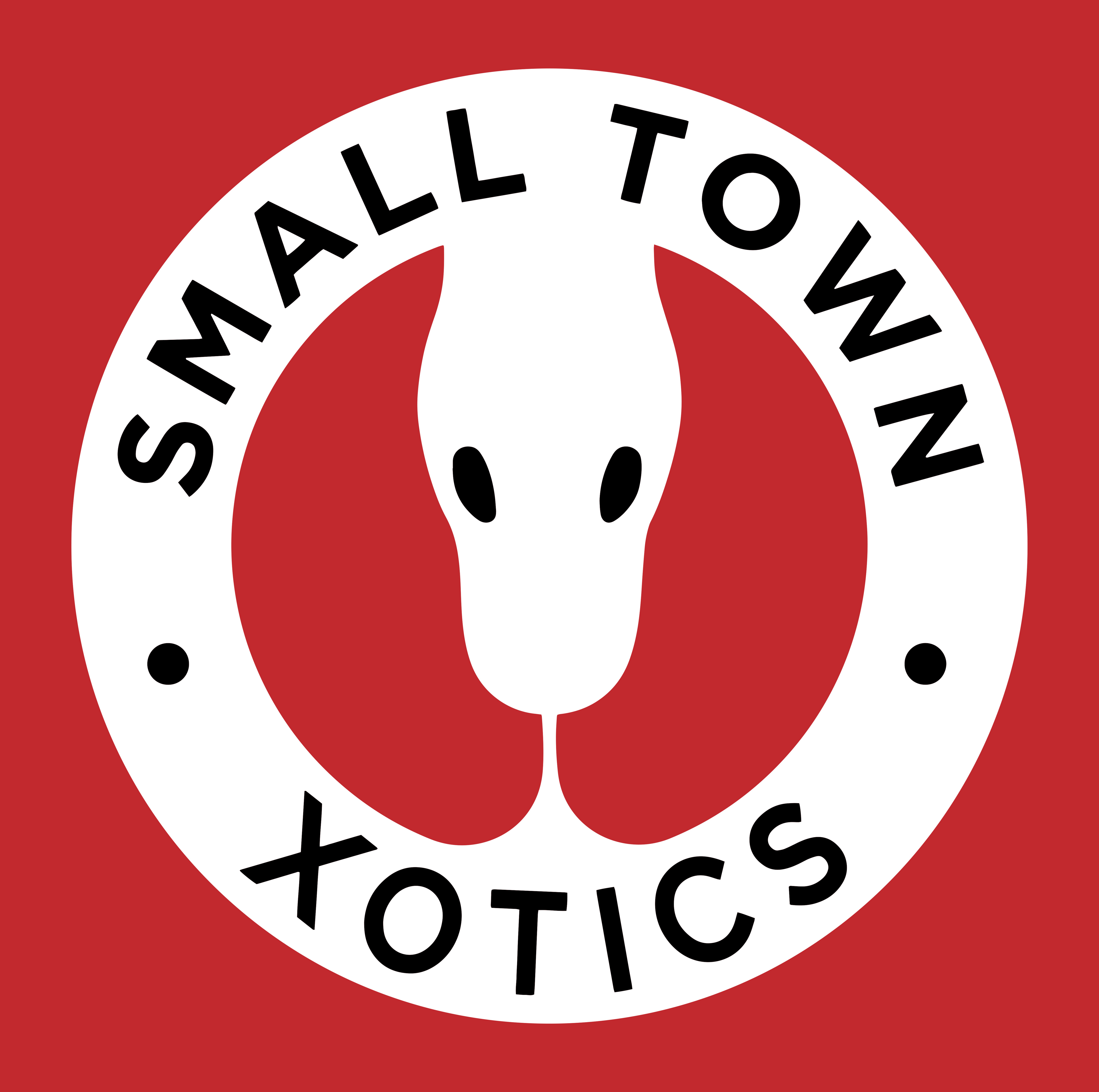 Small Town Xotics