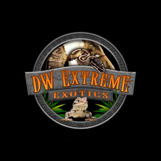 DWextremeexotics