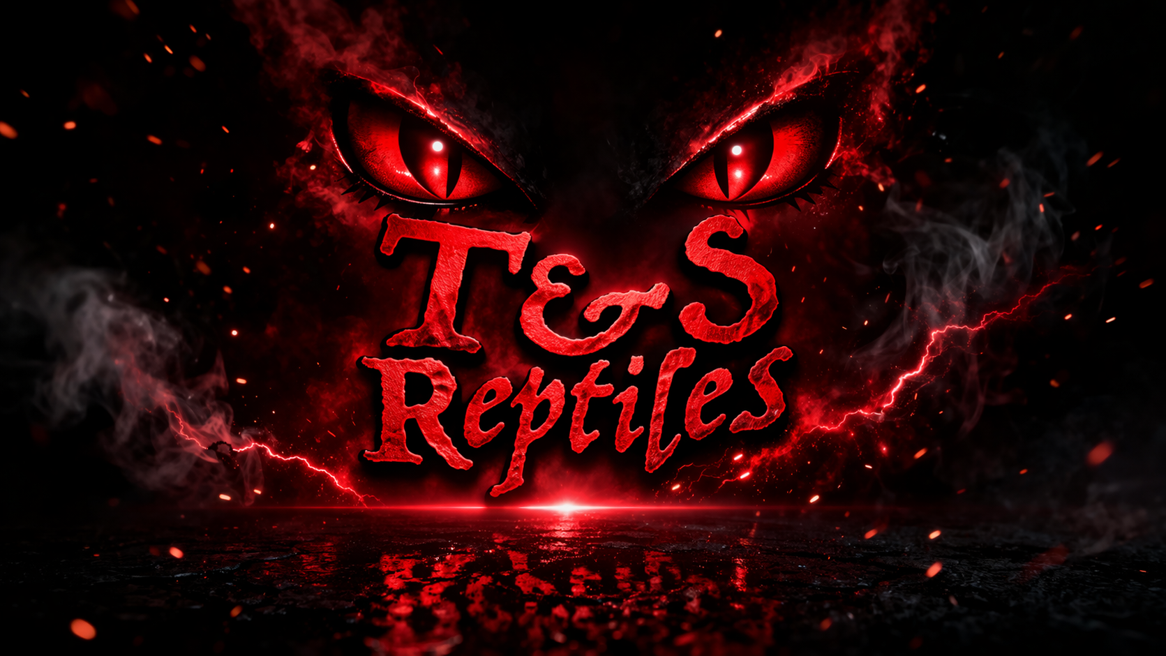 T&S Reptiles