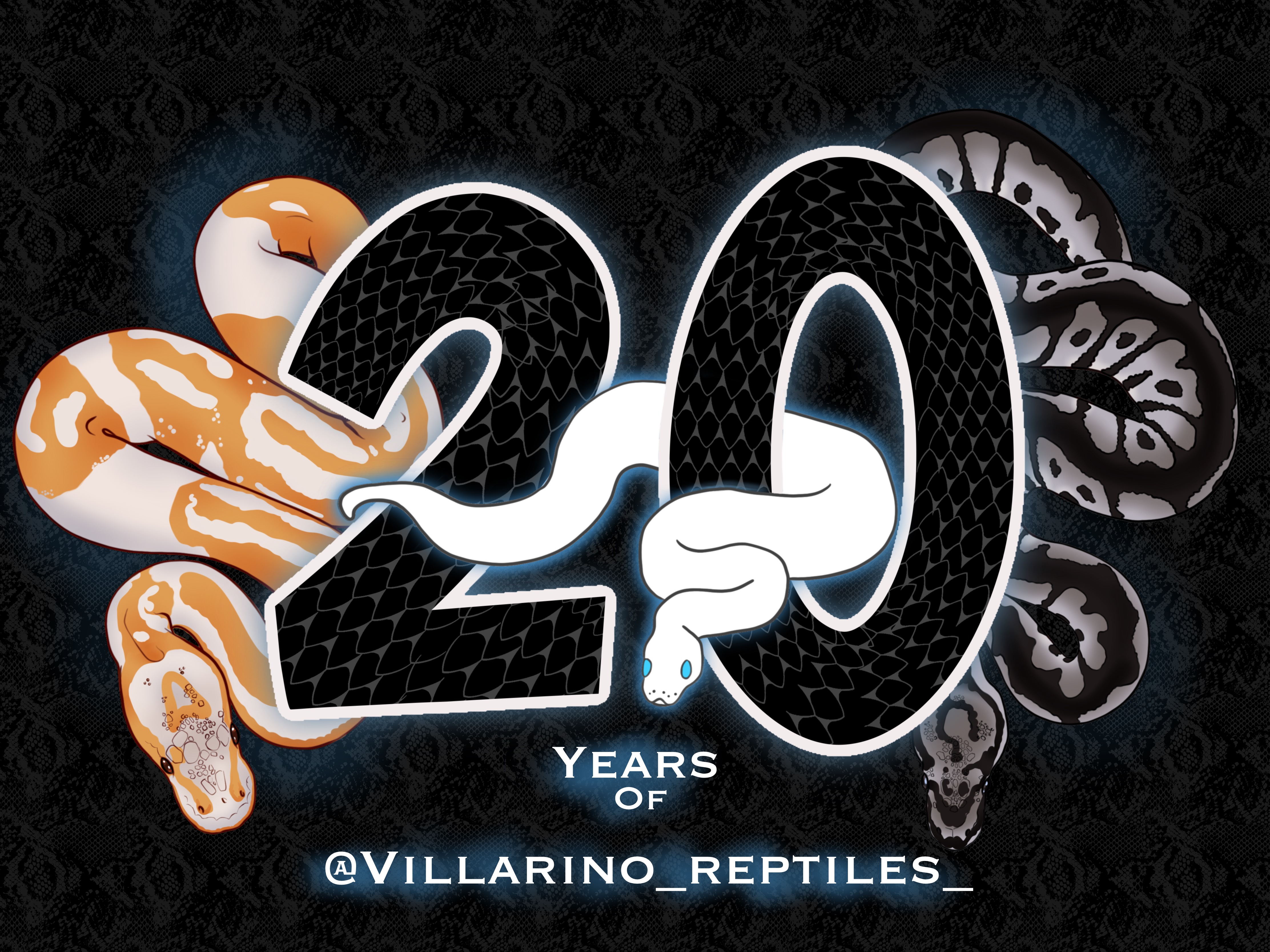 Villarino reptiles