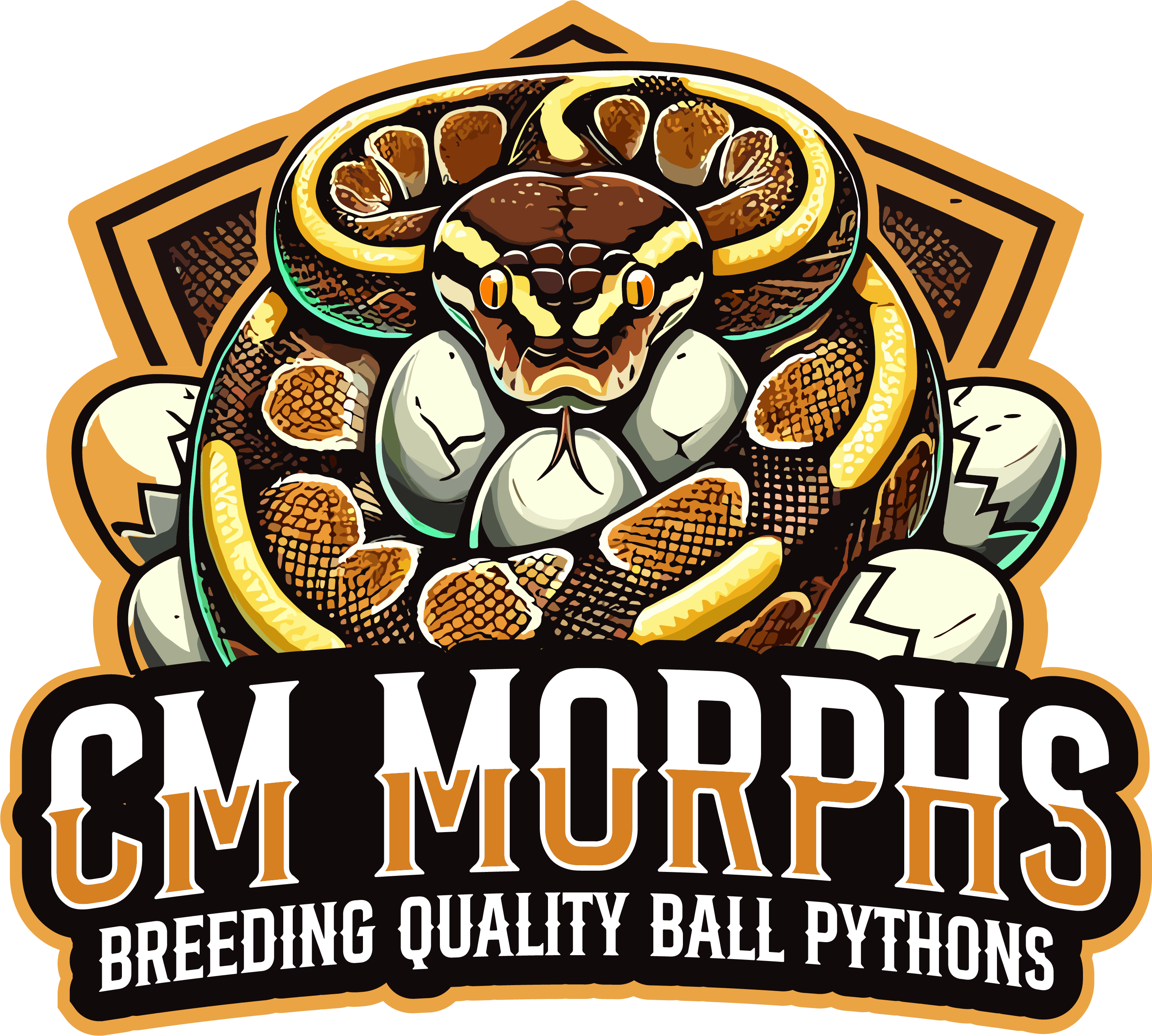 CM MORPHS