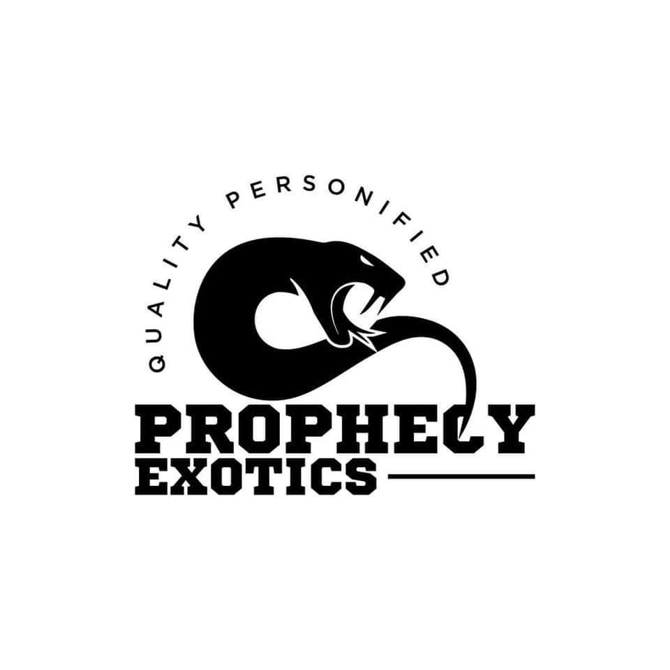 Static morphs & prophecy exotics