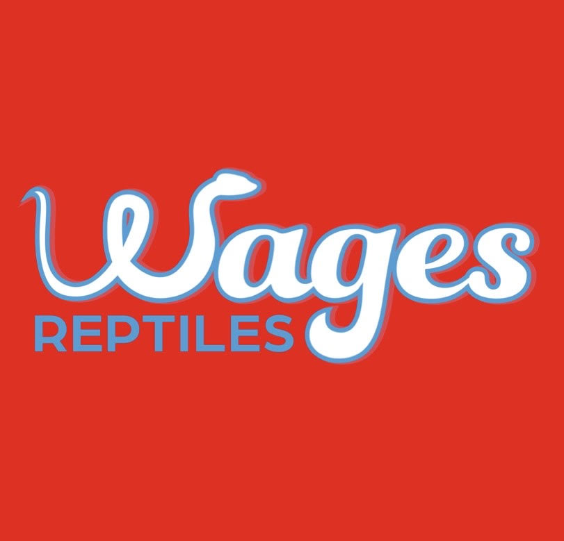 Wages Reptiles